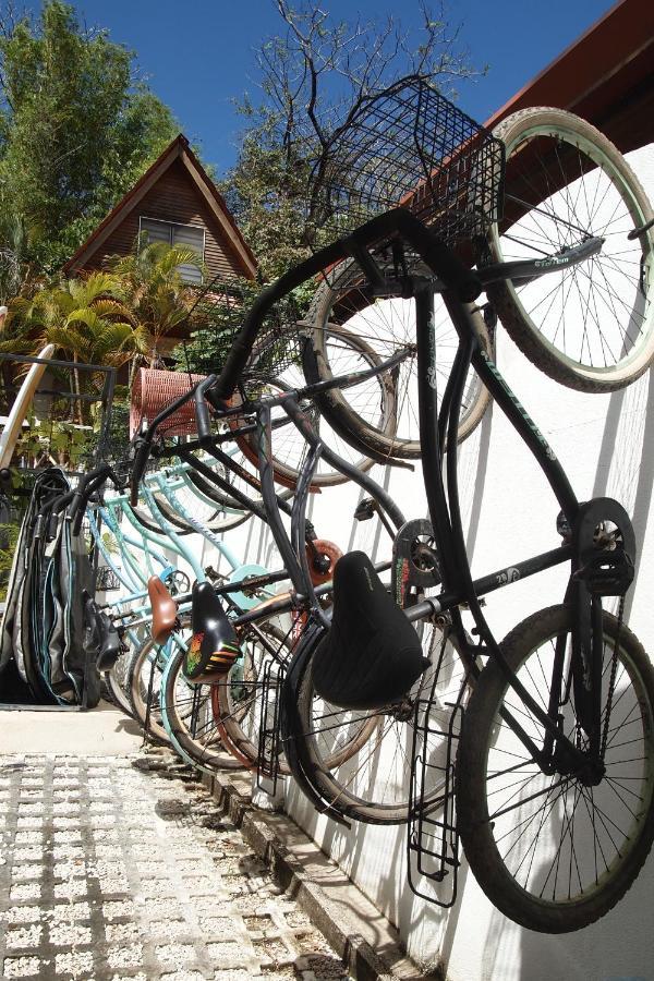 Casa Vitality Bed And Breakfast - Playa Guiones, Nosara - 4 Minute Walk To The Beach Bagian luar foto
