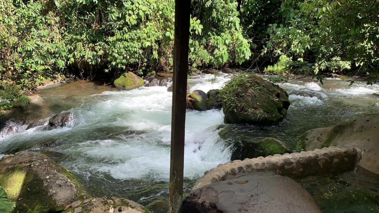 Casa Vitality Bed And Breakfast - Playa Guiones, Nosara - 4 Minute Walk To The Beach Bagian luar foto