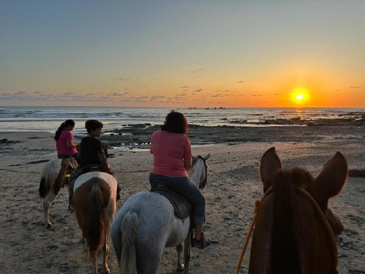 Casa Vitality Bed And Breakfast - Playa Guiones, Nosara - 4 Minute Walk To The Beach Bagian luar foto